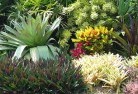 Macquarie Hillsplanting-garden-and-landscape-design-24.jpg; ?>