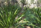 Macquarie Hillsplanting-garden-and-landscape-design-46.jpg; ?>